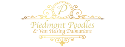 Piedmont Poodles